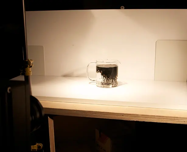 Calligraphy experiments