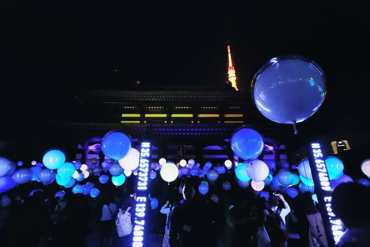 Light and Sound Installation “Coded Field”