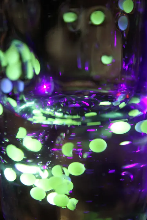 live visuals for Evala at UNIT making