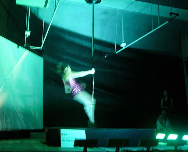 Interactive Lighting System for a Poledance