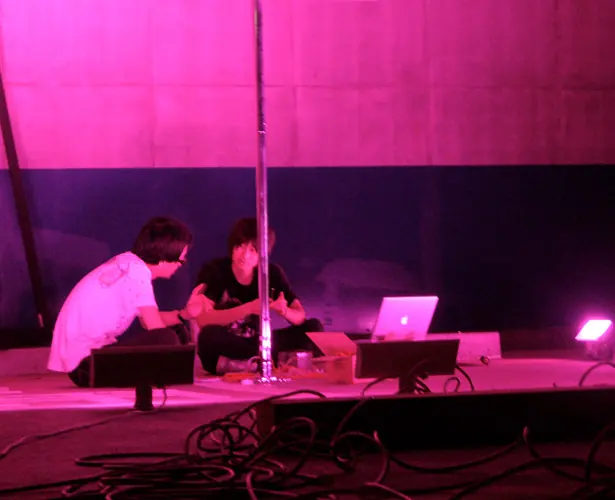 Interactive Lighting System for a Poledance