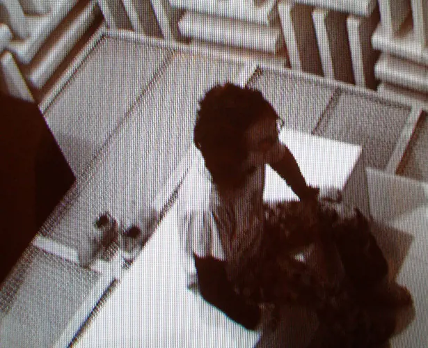 riot please “-a/....ha...++”